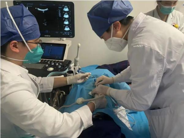 捆绑调教
开展超声引导下置管引流术为患者解除病痛