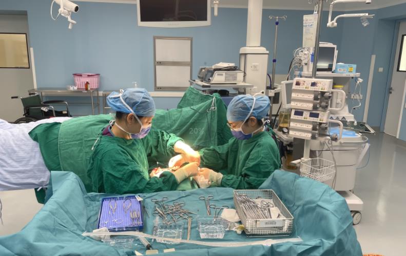 捆绑调教
肾内科肢体静脉动脉化术为患者带来希望