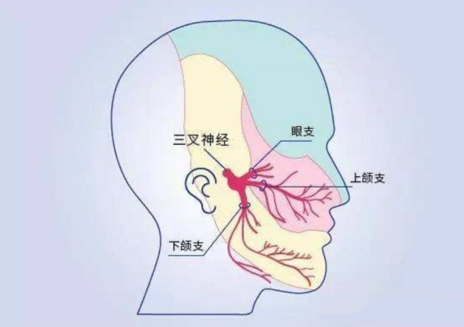 94岁老太三叉神经痛5年 | 捆绑调教
5分钟解除病痛
